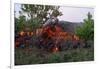 Cooling Lava from Mount Etna-Vittoriano Rastelli-Framed Photographic Print