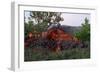 Cooling Lava from Mount Etna-Vittoriano Rastelli-Framed Photographic Print