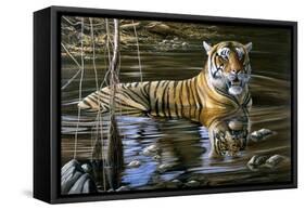 Cooling Off Bengal Tiger-Jeremy Paul-Framed Stretched Canvas