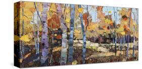 Cools of Autumn-Robert Moore-Stretched Canvas