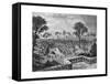 Coomassie, Ashanti War, Africa, 1900-null-Framed Stretched Canvas