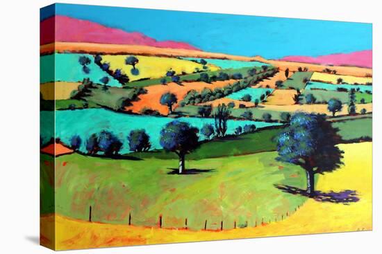 Coombe-Paul Powis-Stretched Canvas