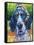 Coonhound-CR Townsend-Framed Stretched Canvas