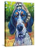 Coonhound-CR Townsend-Stretched Canvas