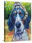 Coonhound-CR Townsend-Stretched Canvas