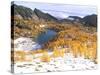 Coony Lake Amidst Golden Larch Trees, Okanogan National Forest, Washington State, USA-null-Stretched Canvas