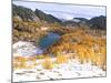 Coony Lake Amidst Golden Larch Trees, Okanogan National Forest, Washington State, USA-null-Mounted Photographic Print