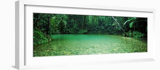 Cooper Creek Flowing Through a Forest, Cape Tribulation, Daintree River, Queensland, Australia-null-Framed Photographic Print