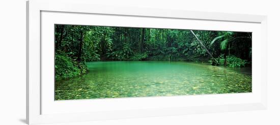 Cooper Creek Flowing Through a Forest, Cape Tribulation, Daintree River, Queensland, Australia-null-Framed Photographic Print