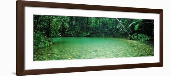 Cooper Creek Flowing Through a Forest, Cape Tribulation, Daintree River, Queensland, Australia-null-Framed Photographic Print