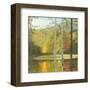 Cooper Lake, Autumn-Elissa Gore-Framed Art Print