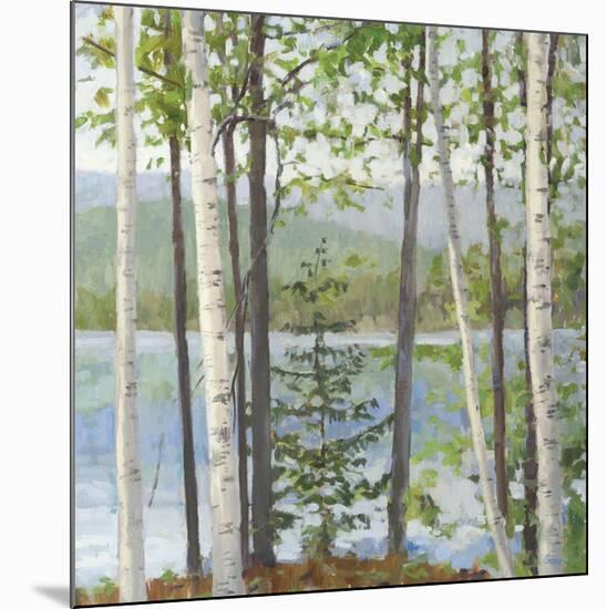 Cooper Lake I-Elissa Gore-Mounted Giclee Print