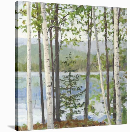 Cooper Lake I-Elissa Gore-Stretched Canvas