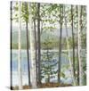 Cooper Lake I-Elissa Gore-Stretched Canvas