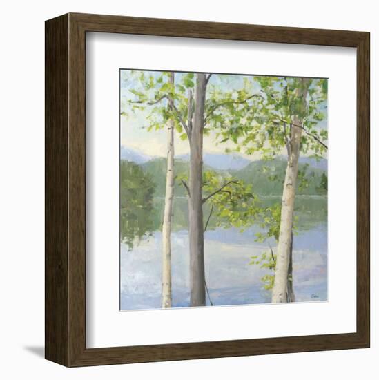 Cooper Lake II-Elissa Gore-Framed Art Print