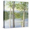 Cooper Lake II-Elissa Gore-Stretched Canvas