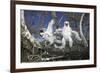 Cooper's Hawk-DLILLC-Framed Photographic Print