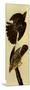 Cooper's Hawks-John James Audubon-Mounted Giclee Print