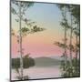 Cooper Sunset Birches-Elissa Gore-Mounted Art Print