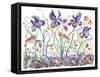 Cooper-Whimsical Flowers-Lisa Katharina-Framed Stretched Canvas