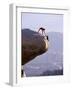 Cooperating Climbers-null-Framed Photographic Print