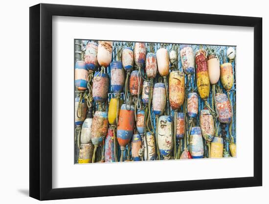 Coos Bay, Oregon, USA. Colorful crab trap floats on the Oregon coast.-Emily Wilson-Framed Photographic Print