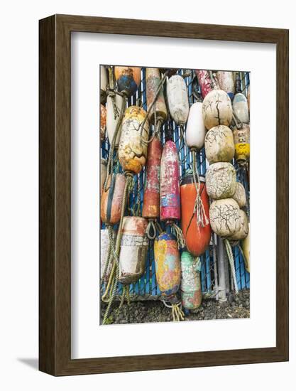 Coos Bay, Oregon, USA. Colorful crab trap floats on the Oregon coast.-Emily Wilson-Framed Photographic Print