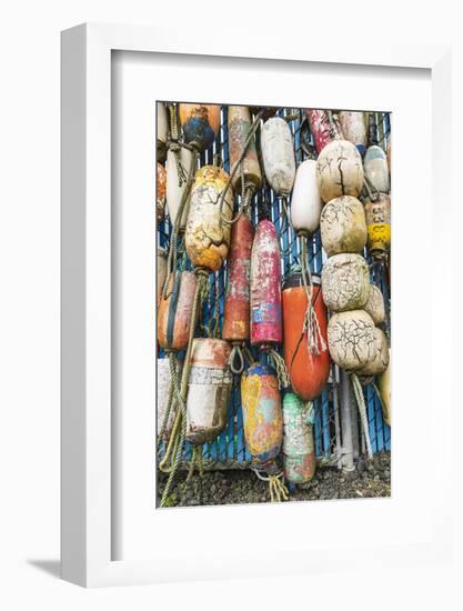 Coos Bay, Oregon, USA. Colorful crab trap floats on the Oregon coast.-Emily Wilson-Framed Photographic Print