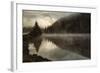 Coos Fog-David Lorenz Winston-Framed Art Print