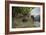 Coot (Fulica), Young Chick Feeding, Gloucestershire, England, United Kingdom-Janette Hill-Framed Photographic Print