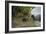 Coot (Fulica), Young Chick Feeding, Gloucestershire, England, United Kingdom-Janette Hill-Framed Photographic Print