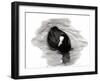 Coot of London, 2013-Nancy Moniz Charalambous-Framed Giclee Print