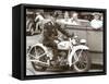 Cop on Motorcycle in Parade-null-Framed Stretched Canvas