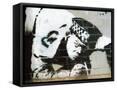 Framed Canvas