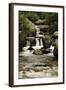 Copeland Falls, Rocky Mountain National Park, Colorado, USA-Michel Hersen-Framed Photographic Print