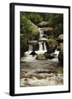 Copeland Falls, Rocky Mountain National Park, Colorado, USA-Michel Hersen-Framed Photographic Print