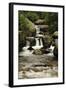 Copeland Falls, Rocky Mountain National Park, Colorado, USA-Michel Hersen-Framed Photographic Print