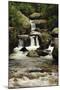 Copeland Falls, Rocky Mountain National Park, Colorado, USA-Michel Hersen-Mounted Photographic Print