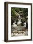 Copeland Falls, Rocky Mountain National Park, Colorado, USA-Michel Hersen-Framed Photographic Print