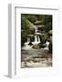 Copeland Falls, Rocky Mountain National Park, Colorado, USA-Michel Hersen-Framed Photographic Print