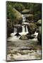 Copeland Falls, Rocky Mountain National Park, Colorado, USA-Michel Hersen-Mounted Photographic Print