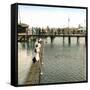 Copenhagen (Denmark), the Free Port, Swimmer's Competition-Leon, Levy et Fils-Framed Stretched Canvas