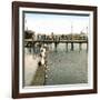 Copenhagen (Denmark), the Free Port, Swimmer's Competition-Leon, Levy et Fils-Framed Photographic Print