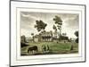 Copenhagen House,Copenhagen Fields, Islington, London, 1783-null-Mounted Giclee Print