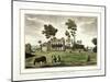 Copenhagen House,Copenhagen Fields, Islington, London, 1783-null-Mounted Giclee Print