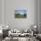 Copenhagen in Pasture (color)-Barry Hart-Stretched Canvas displayed on a wall