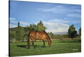 Copenhagen in Pasture (color)-Barry Hart-Stretched Canvas