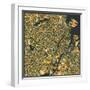 Copenhagen Map-Jazzberry Blue-Framed Art Print