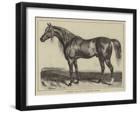 Copenhagen, the Duke of Wellington's Charger-null-Framed Giclee Print