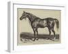 Copenhagen, the Duke of Wellington's Charger-null-Framed Giclee Print